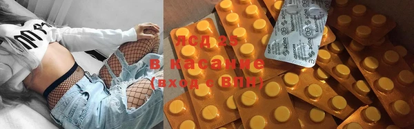 мдпв Елабуга