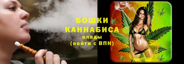 мдпв Елабуга
