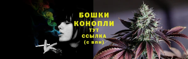 крисы Дмитров