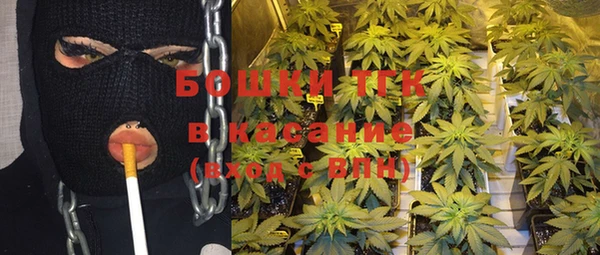 крисы Дмитров